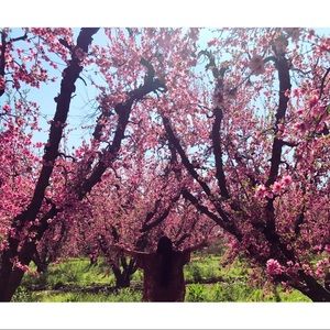 Meet your Posher, Itzel